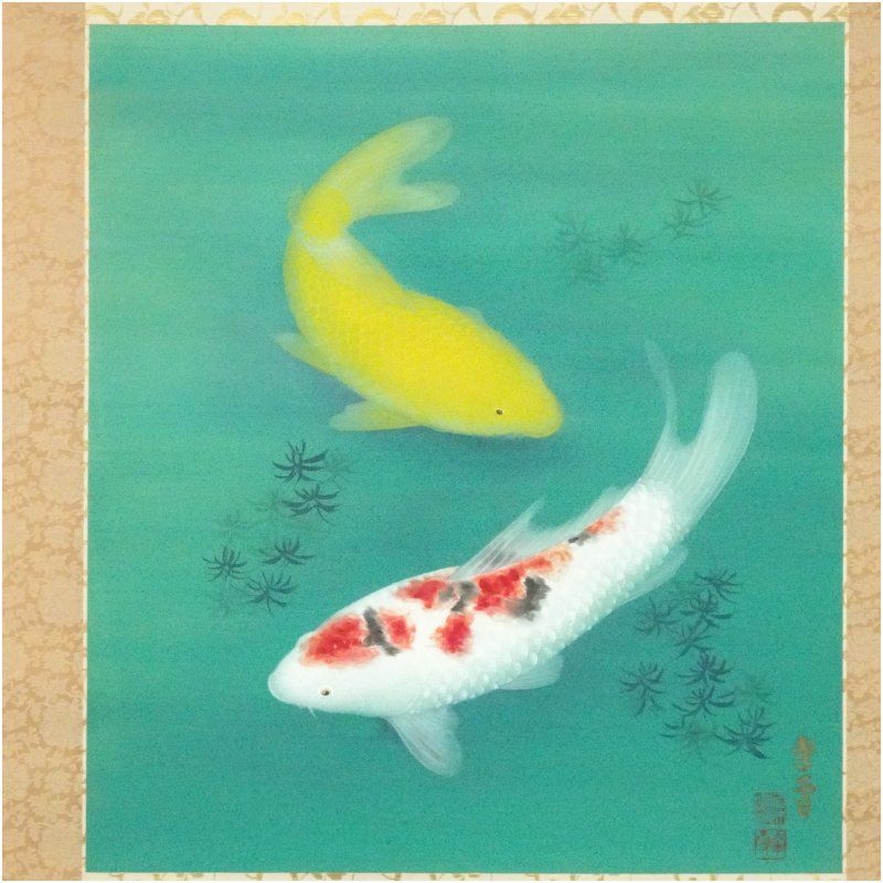 国井幸雪筆 鯉 肉筆絹本掛軸（共箱） 掛け軸 床の間 書 おしゃれ