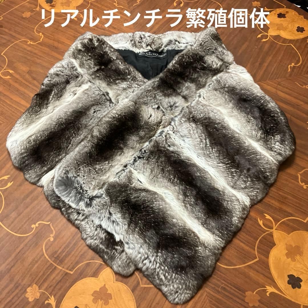 チンチラ　大判ストール リアルチンチラ 大判ストール 繁殖個体 - メルカリ