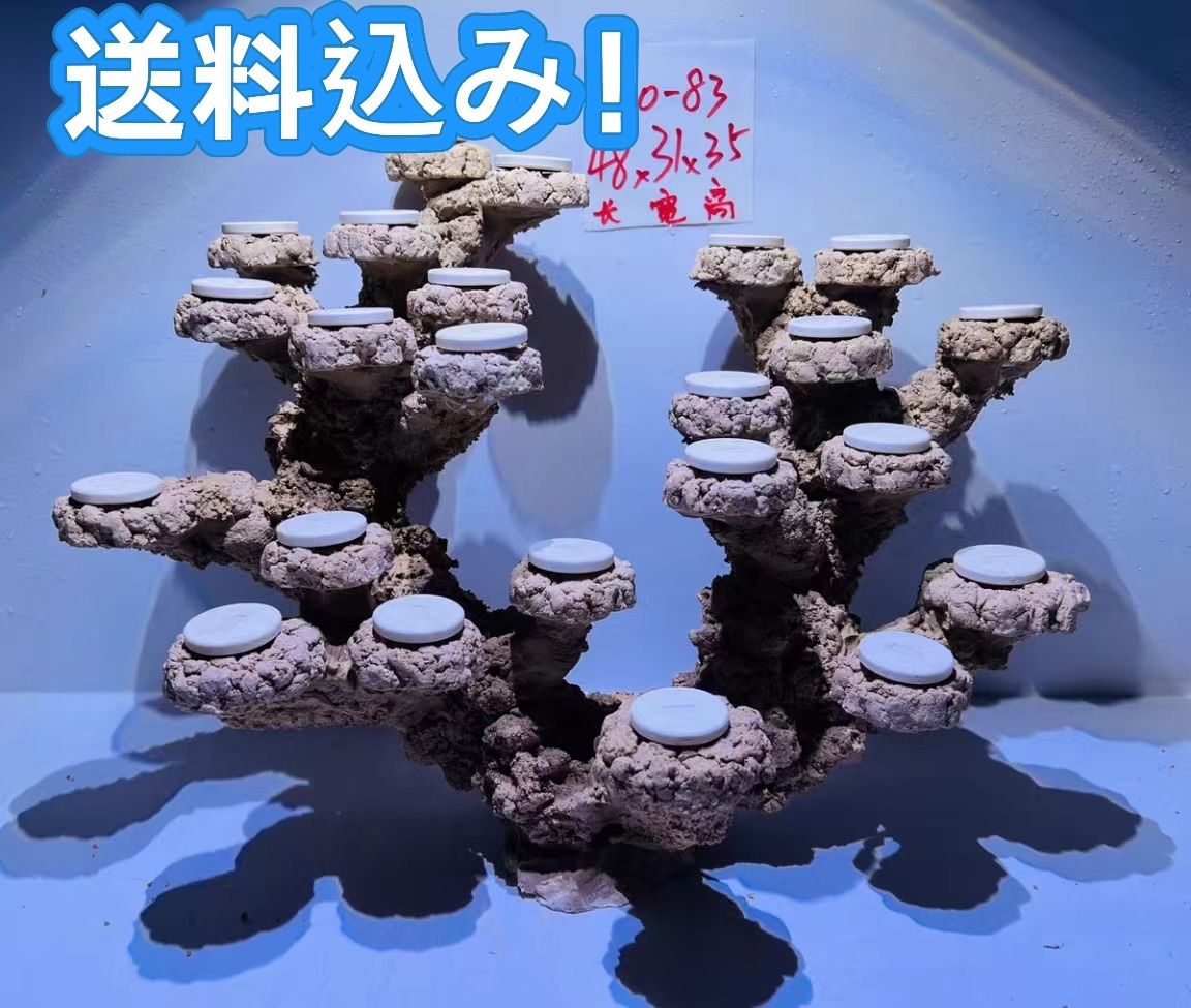 人工ライブロックセット（海水魚、サンゴ、背景、レイアウト、水槽