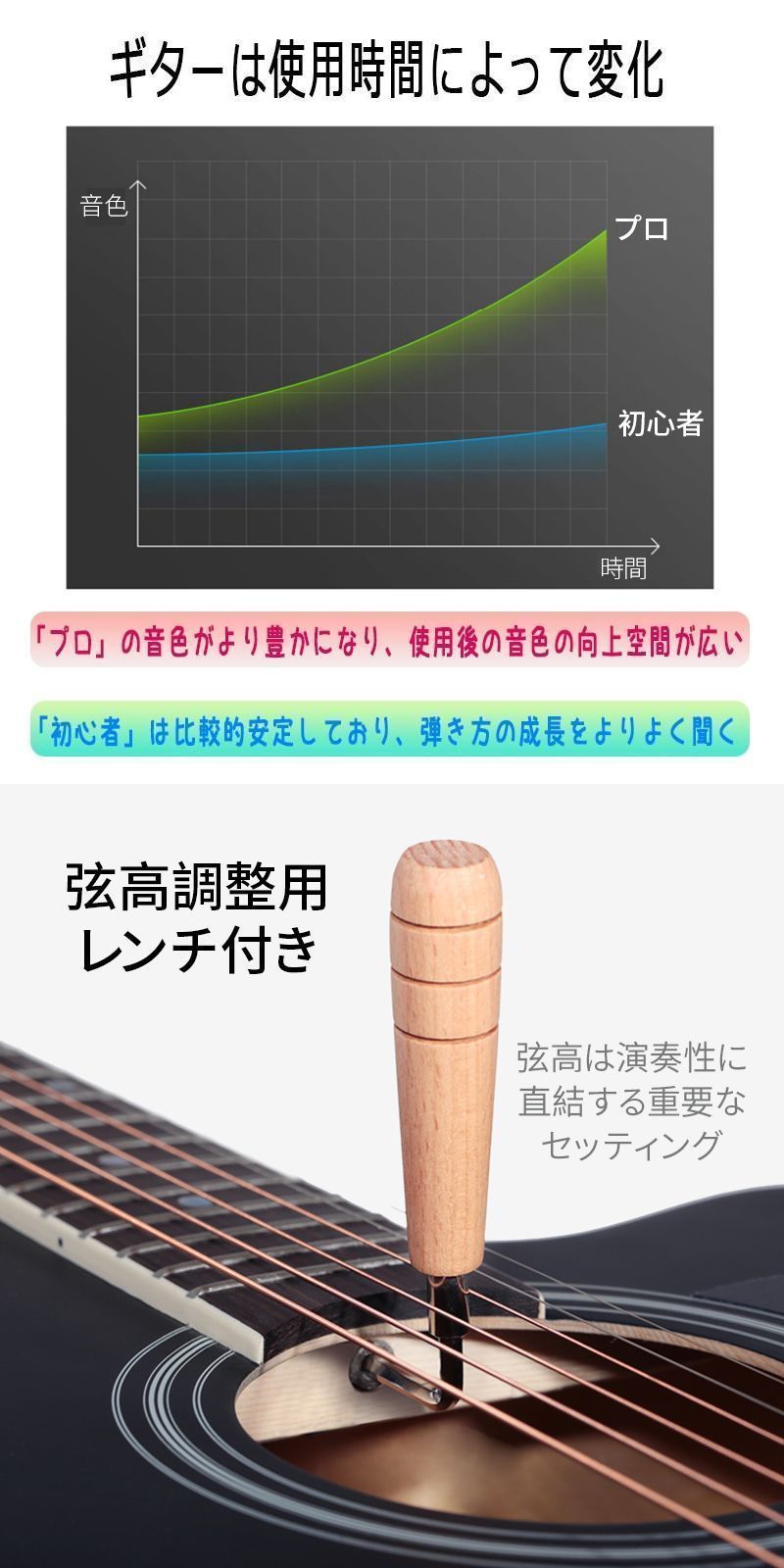 入門 10点セット