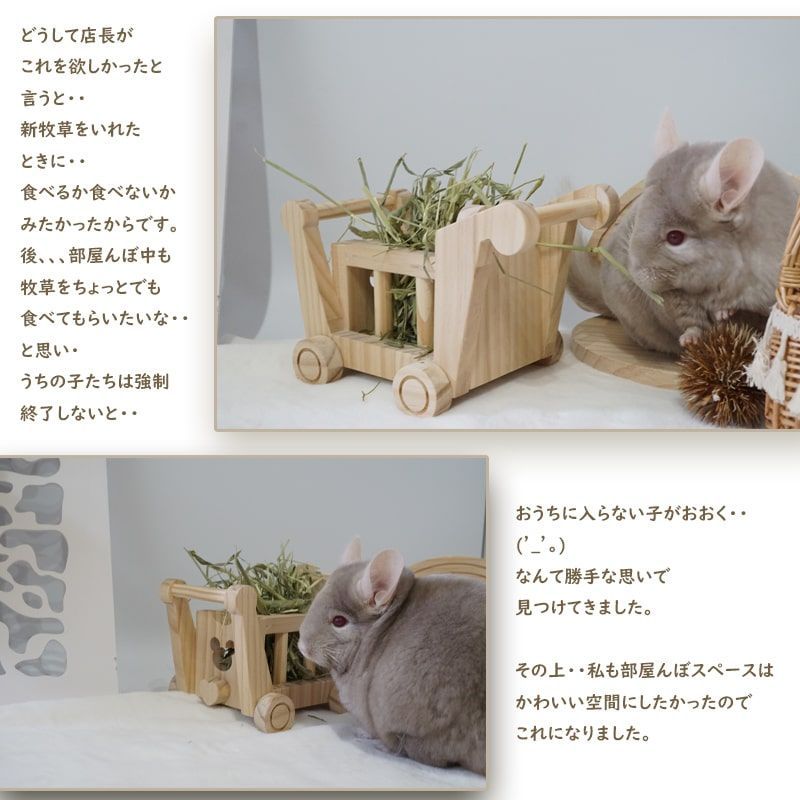 フォージング入門 ウッディ/おもちゃ かじり木 天然木 デグー