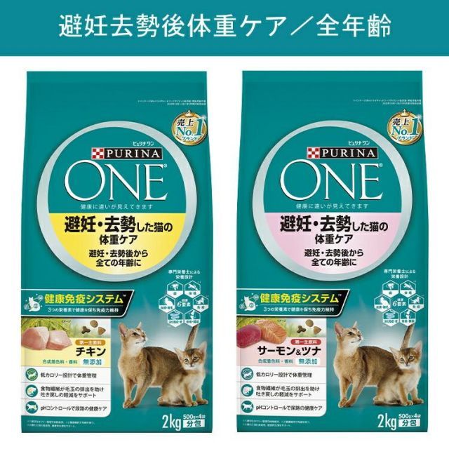 シニア