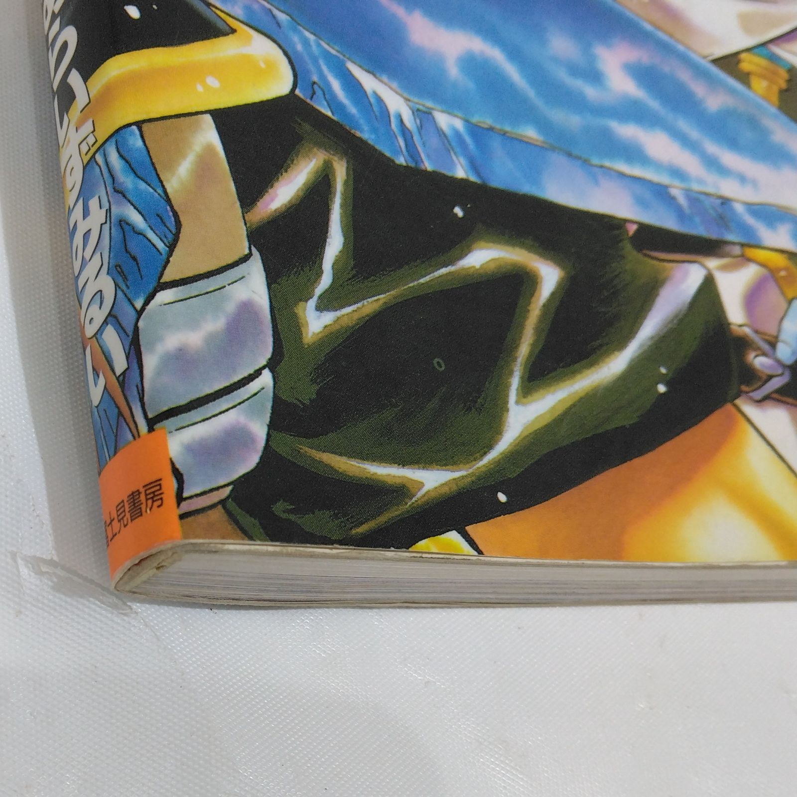 絶版希少】スレイヤーズ あらいずみるい画集 DRAGON MAGAZINE SPECIAL