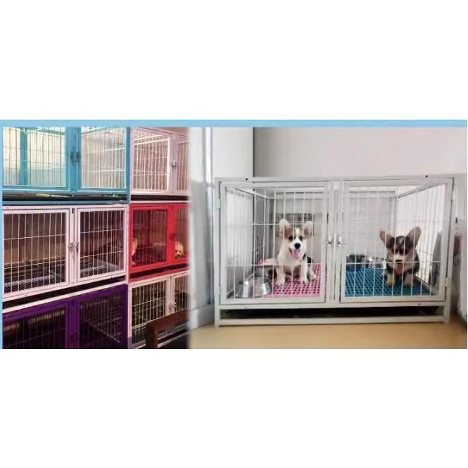 犬小屋 大型2段