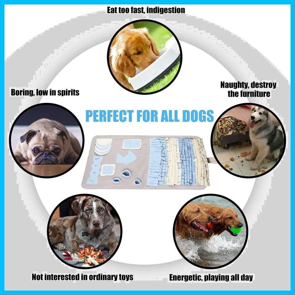 訓練毛布 犬