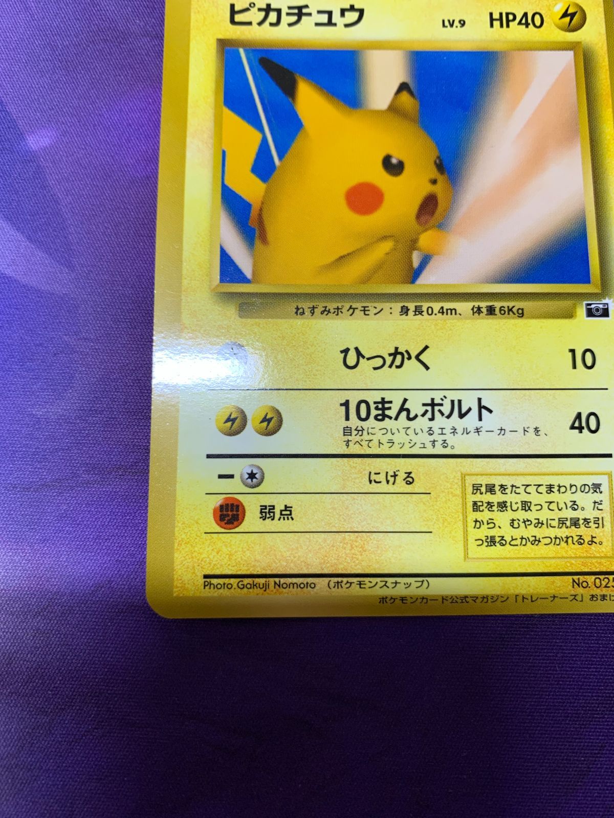 ポケモンカード ピカチュウ 旧裏　プロモカード　ポケモンスナップ ポケモンカード 旧裏 ピカチュウ ポケモンスナップ トレーナーズ