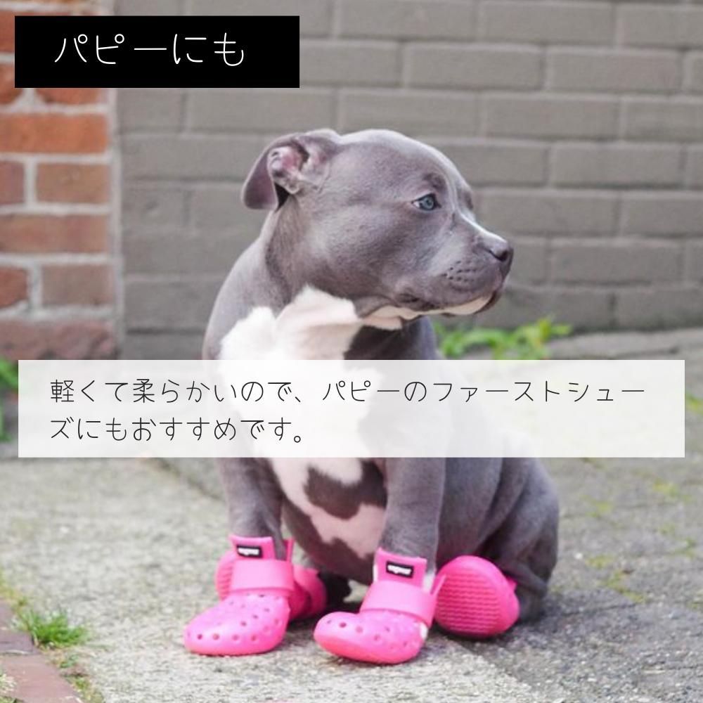 Wagwear