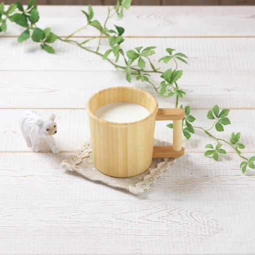 agney*(アグニー)アグニーマグ片手セット