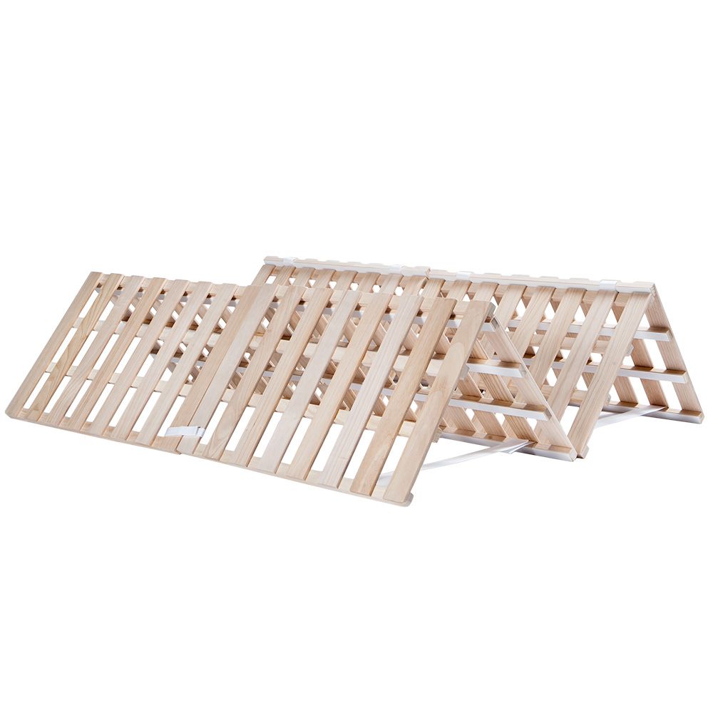 Momose MT1-STD/NJ DLPB テレキャスター 専用ソフトケース付 Momose