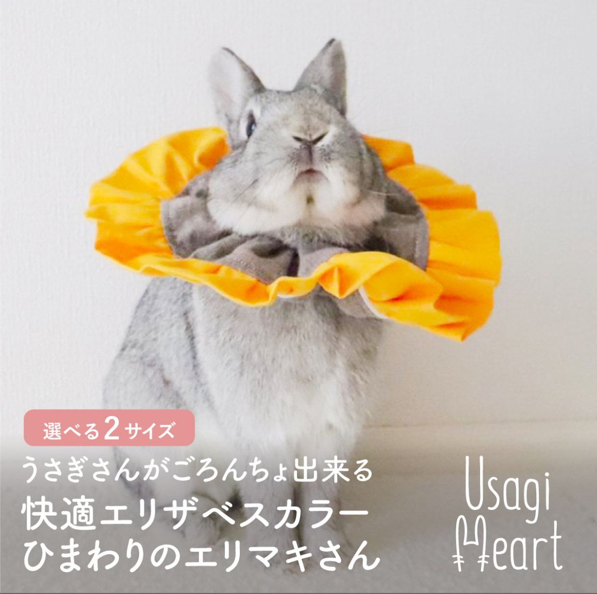 Usagi Heart】うさぎさんがごろんちょ出来る ひまわりのエリマキさん