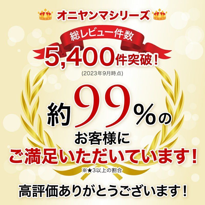 2個でこの価格！／オニヤンマ 虫除け 12cm おにやんま