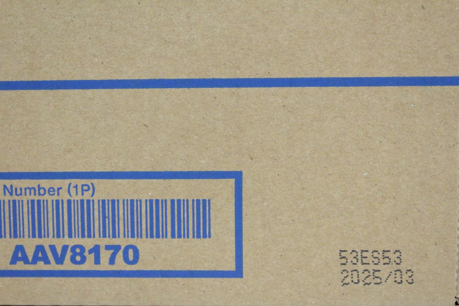 2色4本 イエロー