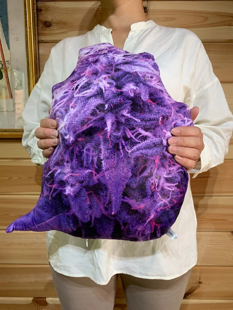 バッズクッション マリファナ 大麻樹脂 バッズ 420 カンナビス 麻 THC