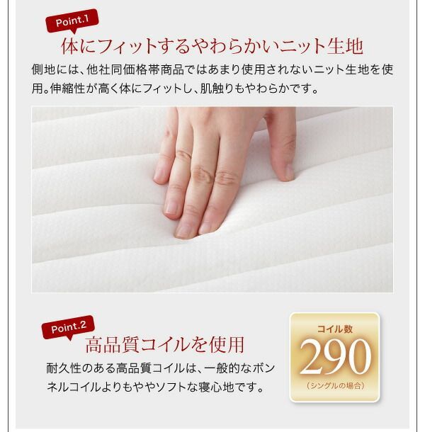 特殊な 搬入 組立 簡単 すのこ構造 ショート丈脚付きマットレス ボトムベッド 薄型 ポケットコイルマットレス付き セミシングルサイズ 脚15cm 友情