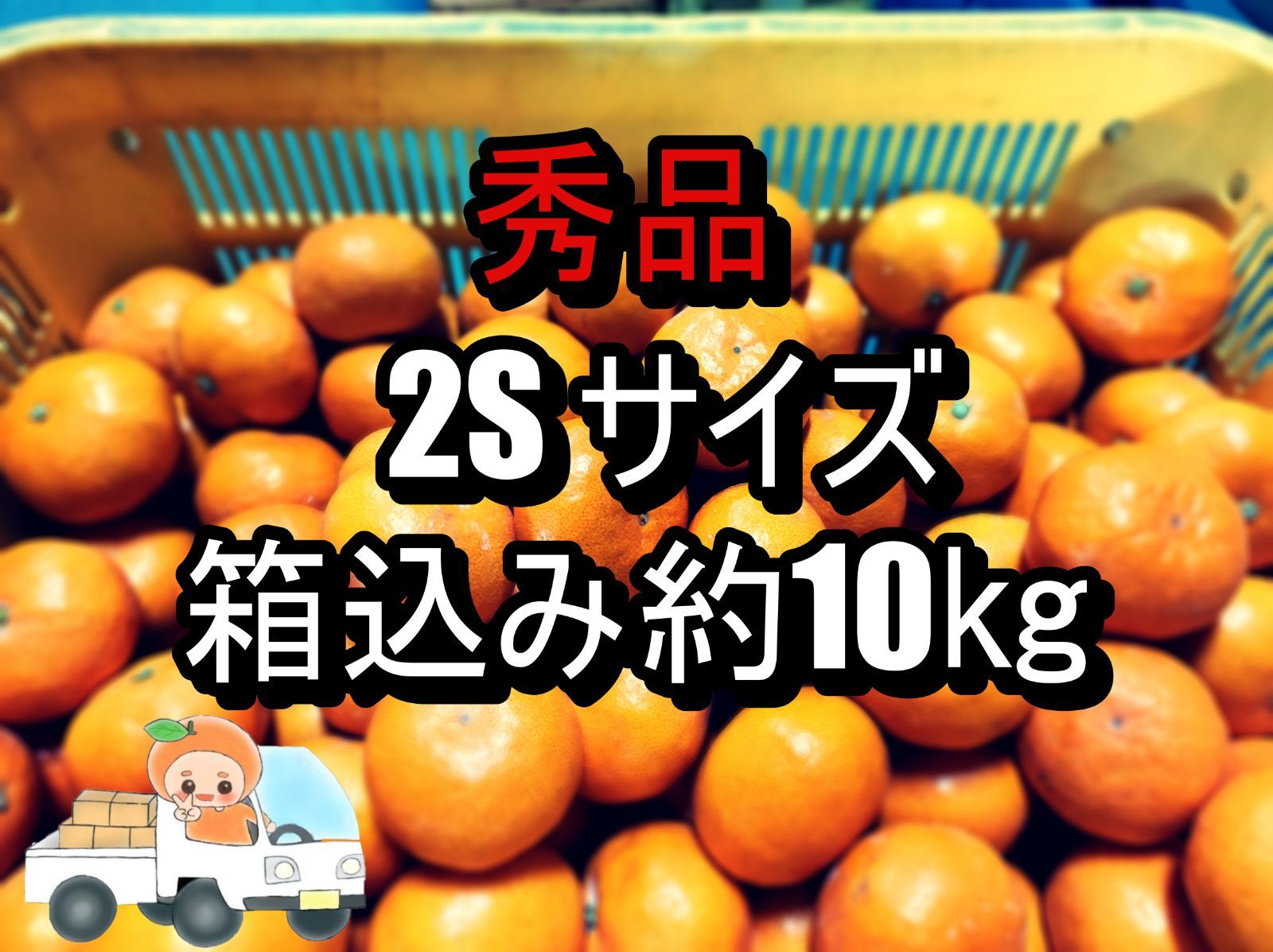 木熟大坊みかん秀品2Ｓサイズ箱込み約10kg