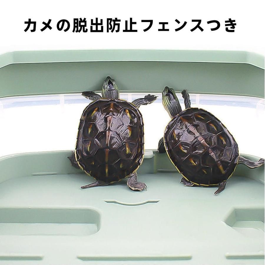 大きい 飼育ケース