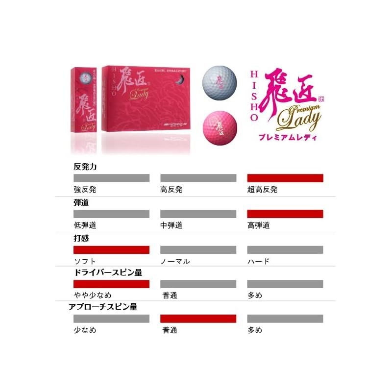 飛匠 レディ
