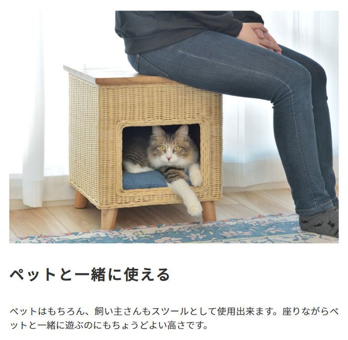 ねこ