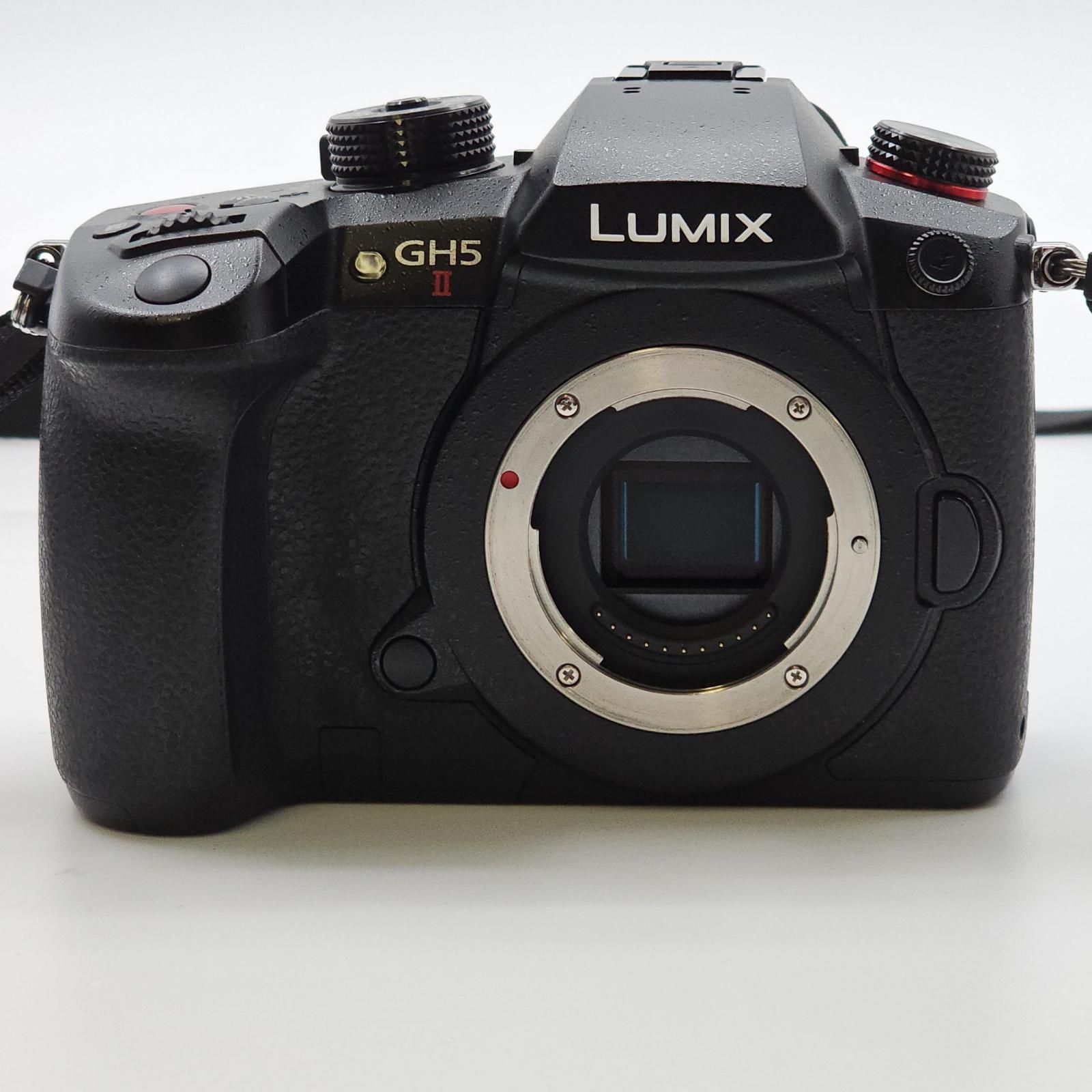 全額返金保証】【最速発送】Panasonic デジタル一眼 LUMIX DC-GH5M2 