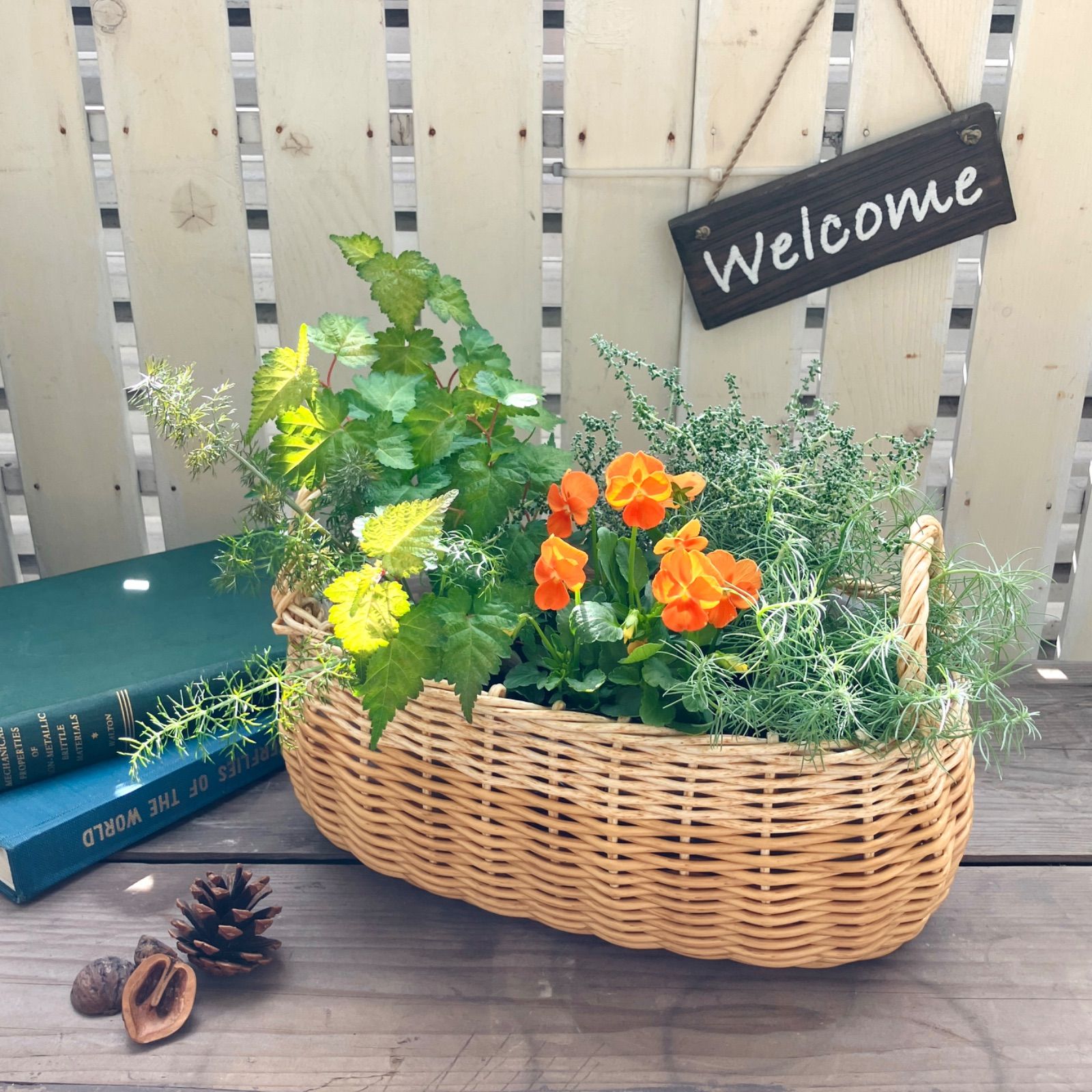 カゴバスケット鉢 花 寄せ植え ビニール付き 持ち手付き ナチュラル
