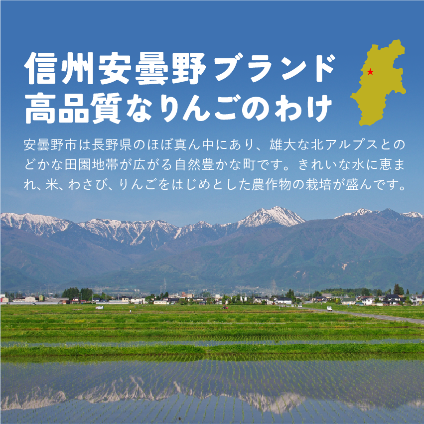 発送中「シナノスイート3キロ箱A品B品ミックス」農林水産大臣賞 りんご 長野県産 安曇野 信州産