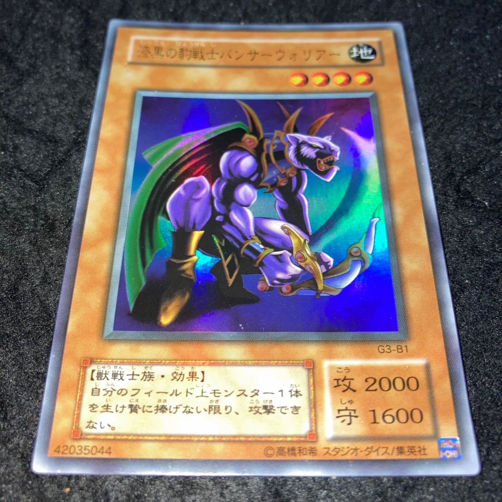 希少！】PSA10 漆黒の豹戦士パンサーウォリアー ウルトラレア