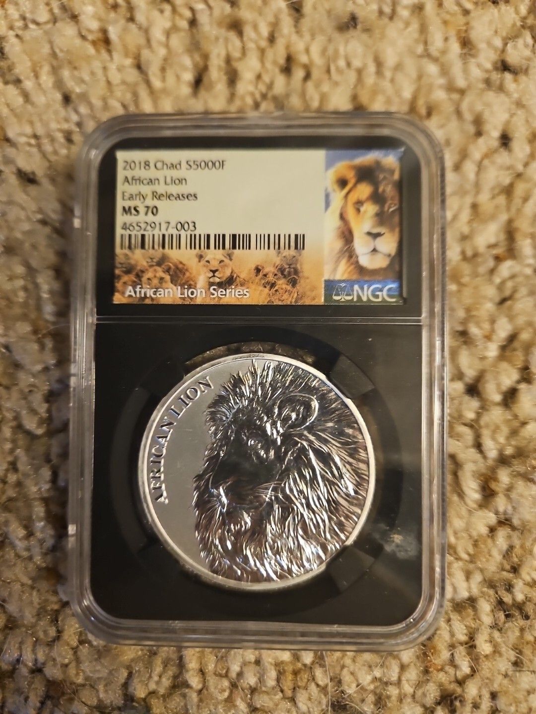 2018 CHAD African ARTISTIC LION Map Antique Silver 5000 Francs Coin NGC i89266