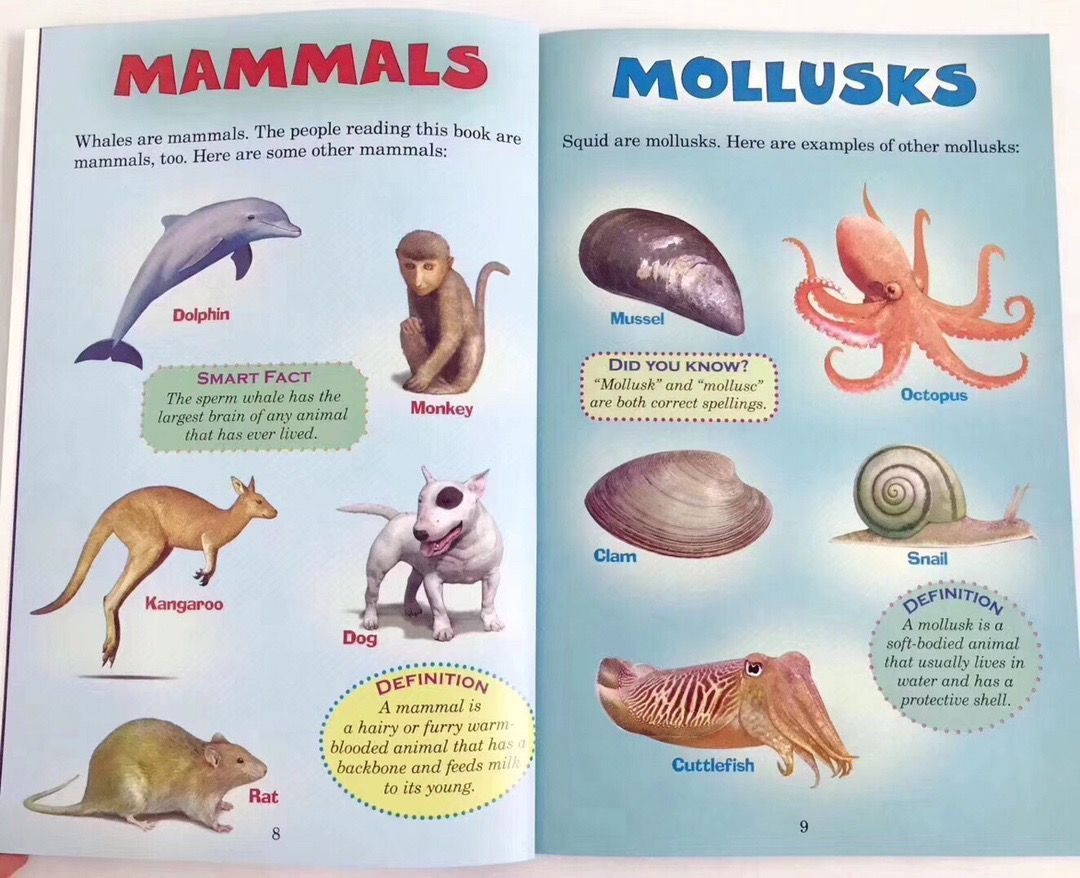 Scholastic:WHO WOULD WIN ？シリーズ24冊 Who Would Win 絵本24冊