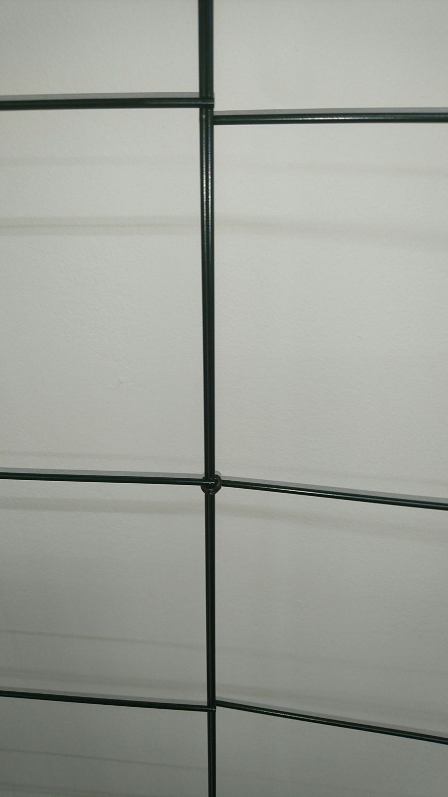 つるバラフェンス