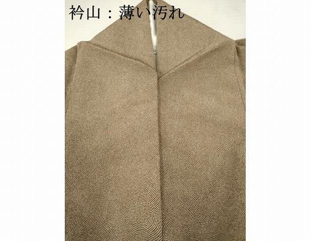 当店限定販売】 平和屋着物□江戸小紋 訪問着 逸品 正絹 鮫小紋柄 扇面  