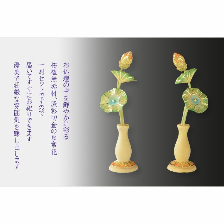 ミニ常花