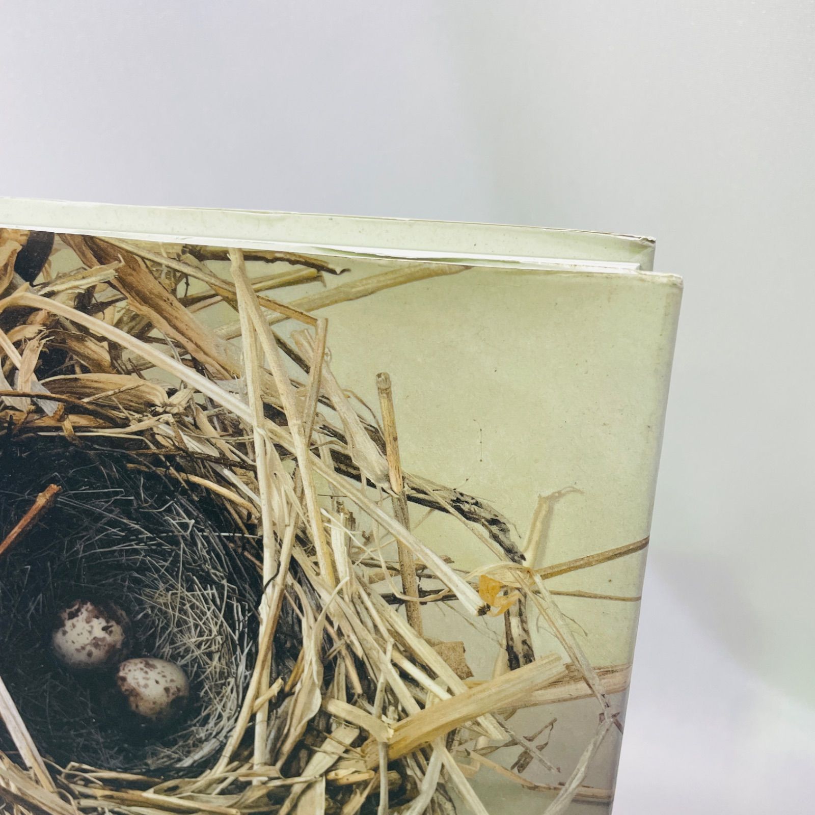 野田 弘志 【聖なるもの】 希少画集画、状態良好、新品高級額装付 求龍堂：聖なるもの 野田弘志画集