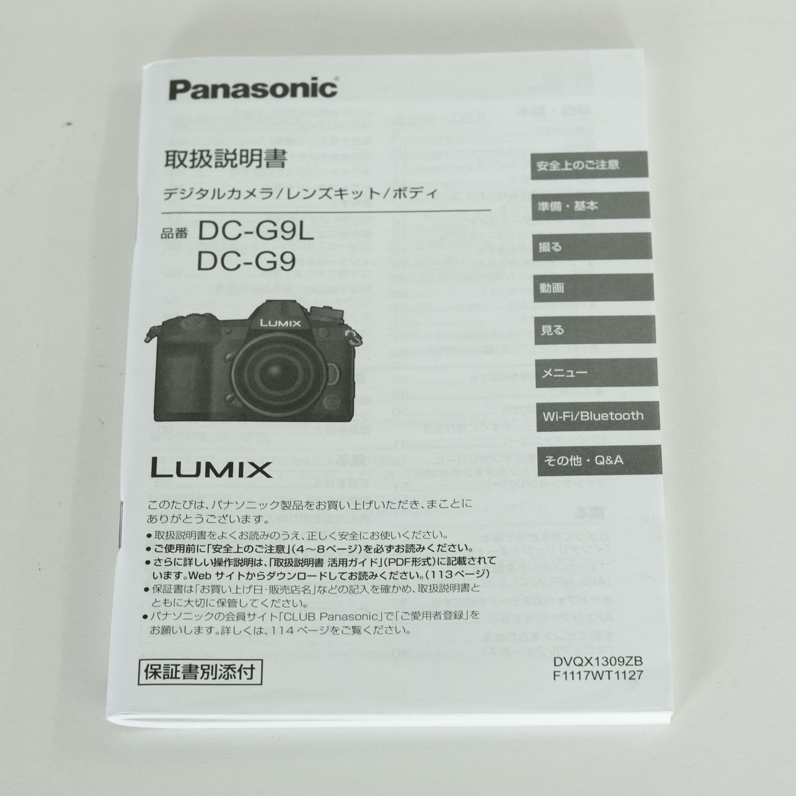 Panasonic