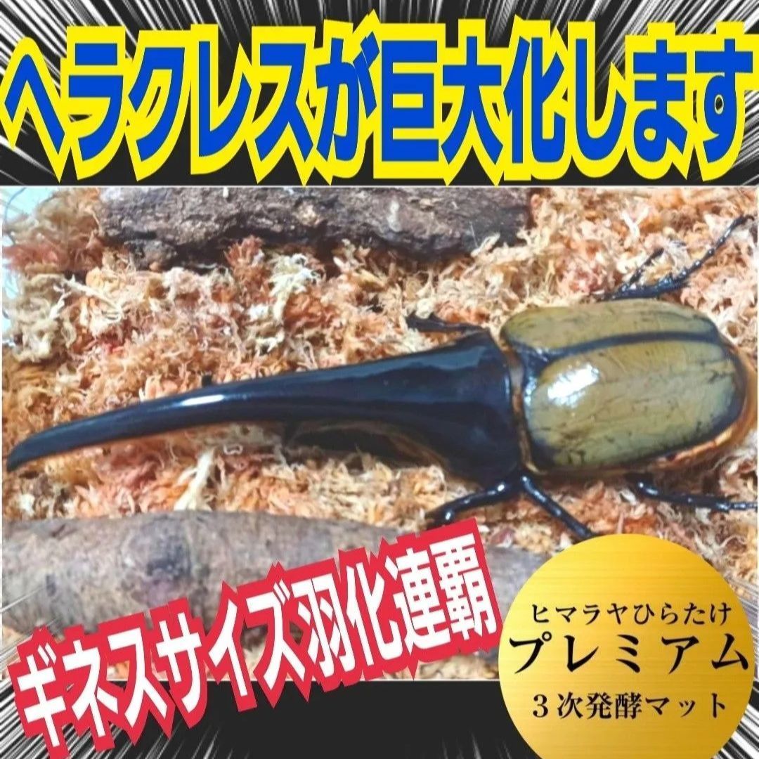 販売 価格 進化した！特選プレミアム3次発酵カブトムシマット【80L