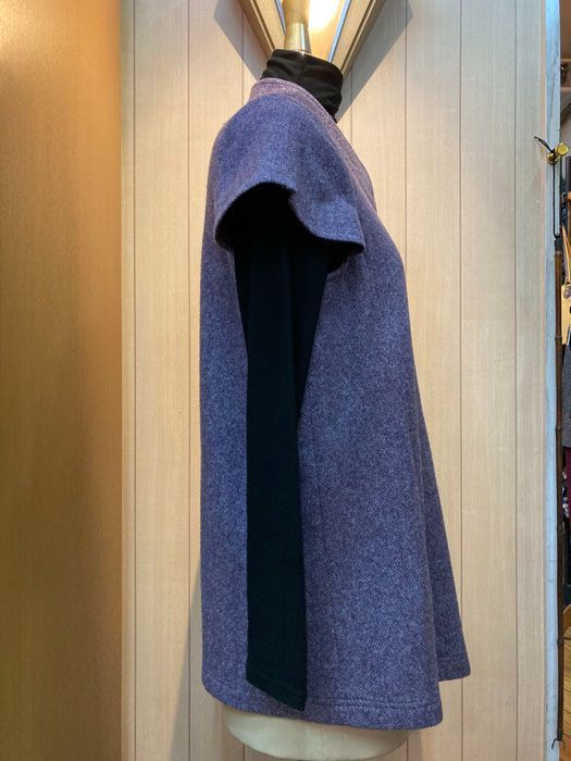イッセイ・ミヤケ　プリーツ　ジレ（ベスト） ISSEY MIYAKE - イッセイミヤケ ISSEY MIYAKE レディース