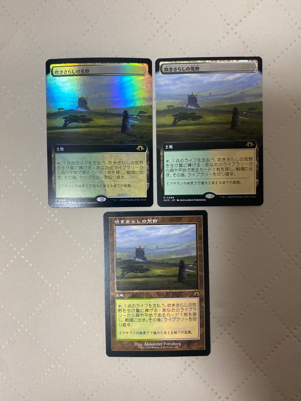 吹きさらしの荒野/Windswept Heath》【Foil】(466)□拡張アート
