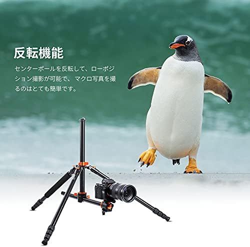 ナットロック式