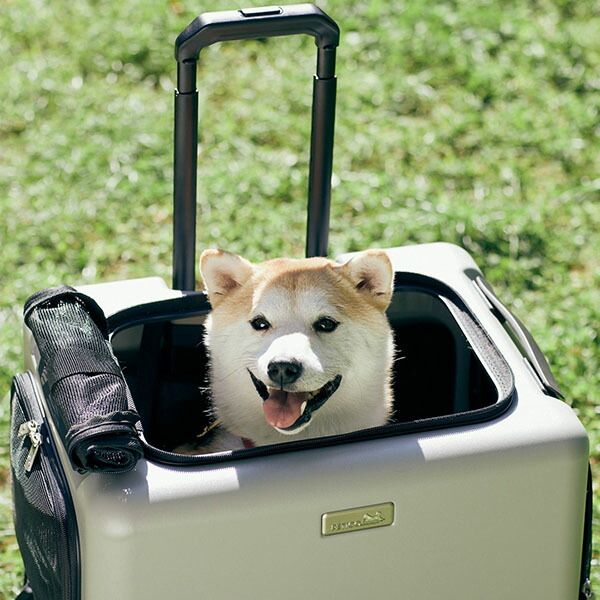 ペットキャリー キャスター ペチコ PETiCO ペット キャリーバッグ おしゃれ 犬 猫 キャスター付き ハード キャリーケース 4輪 8輪 小型犬 中型犬 1匹 2匹 お出かけ 旅行 帰省 通院 電車 かわいい ペテ PET-91