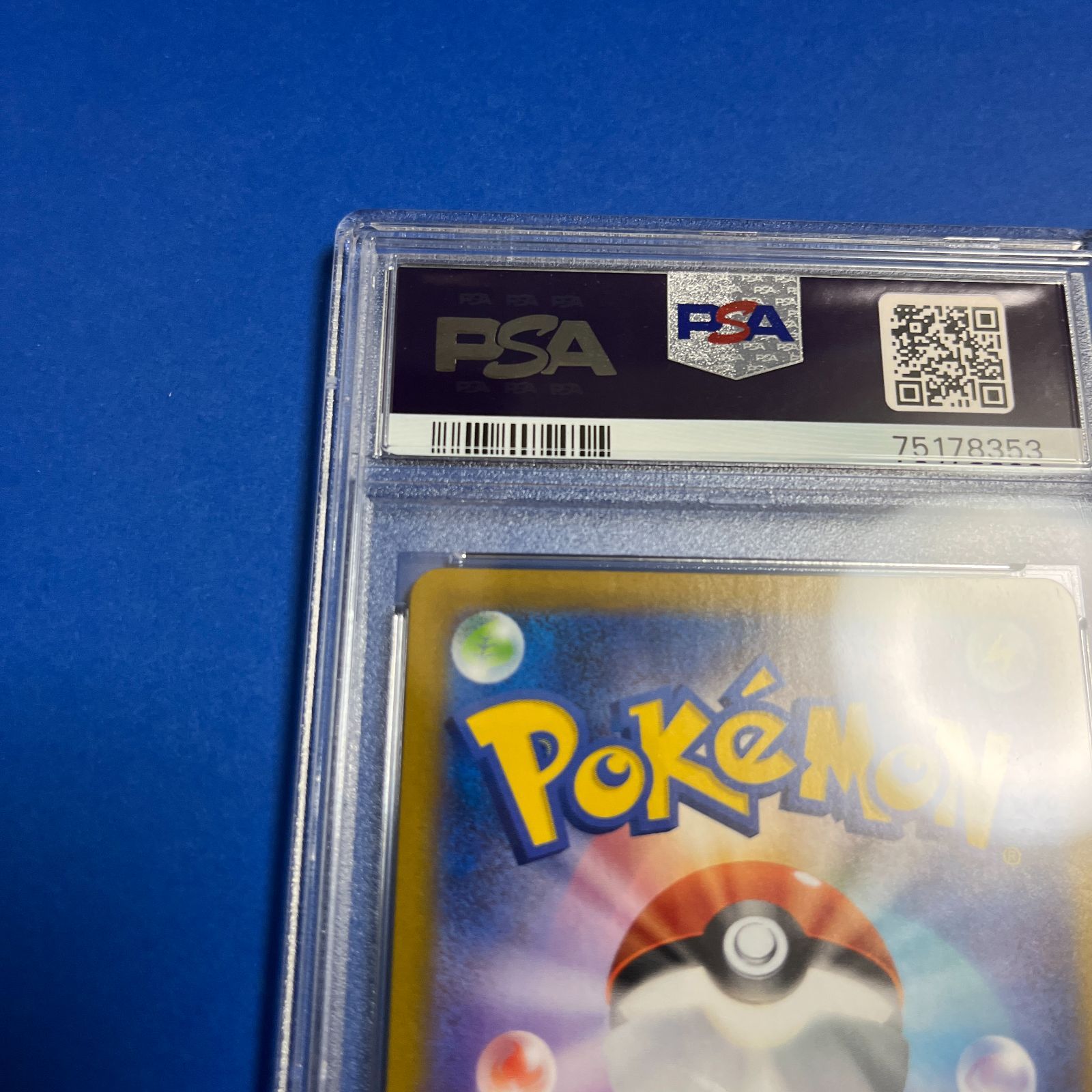 【あんしん鑑定◎】【即購入◎】【PSA10】アセロラの予感 255/184 PSA10鑑定済〕アセロラの予感【SR】{255/184} (Used