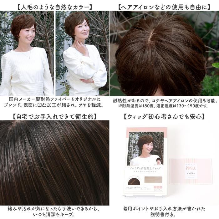 ナチュラルショート ポイントウィッグ