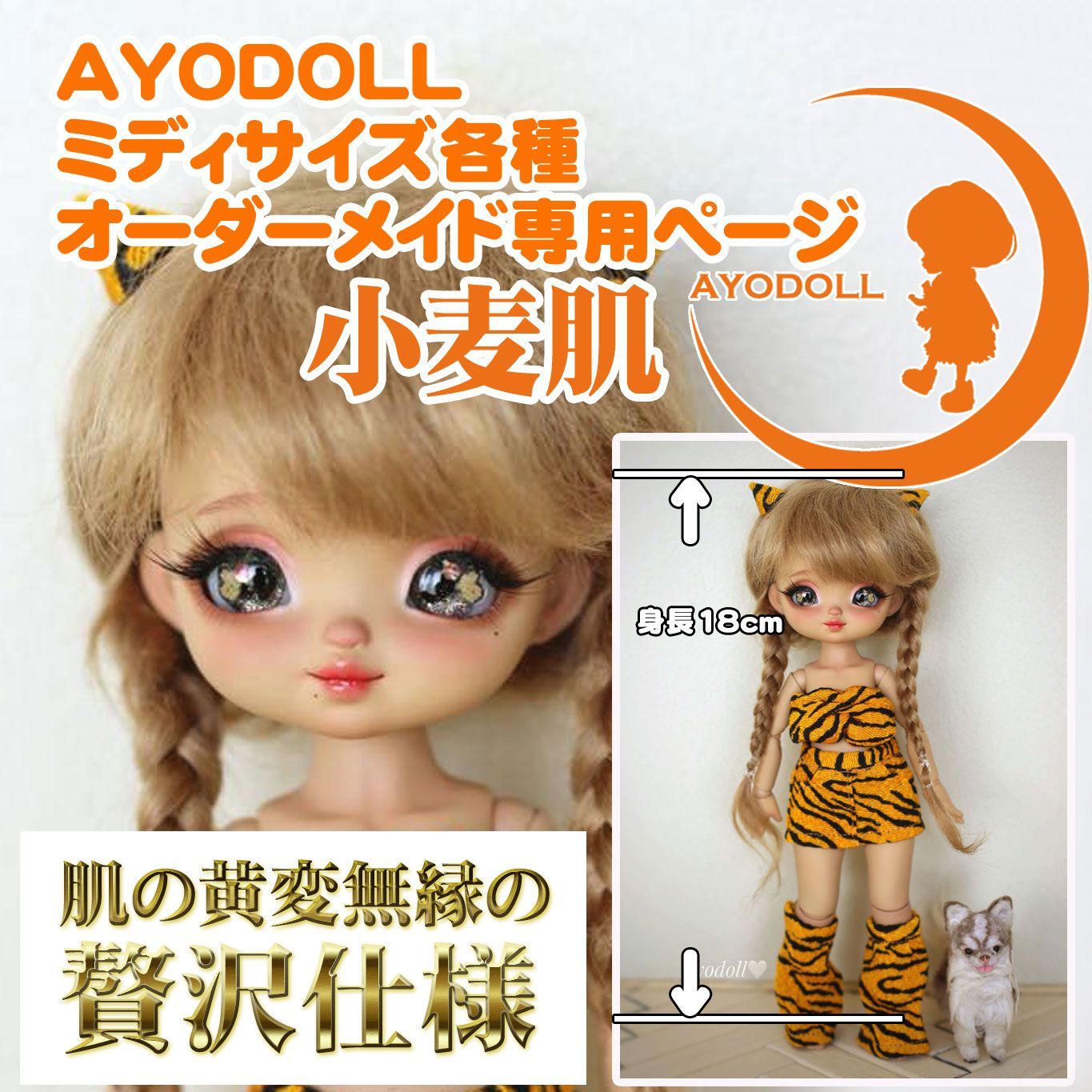 AYODOLL【プレミアムⅦ】ミディサイズ 全12種（身長18cm）小麦肌 オーダーメイド