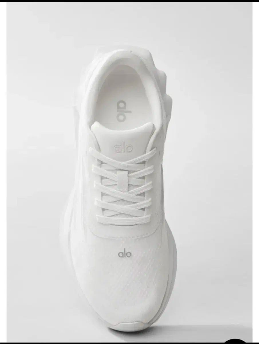 アロ alo ランニングシューズ 260