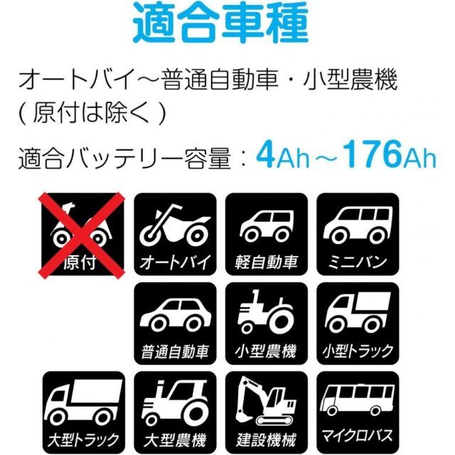 セレクト式自動パルス充電器 MP-230