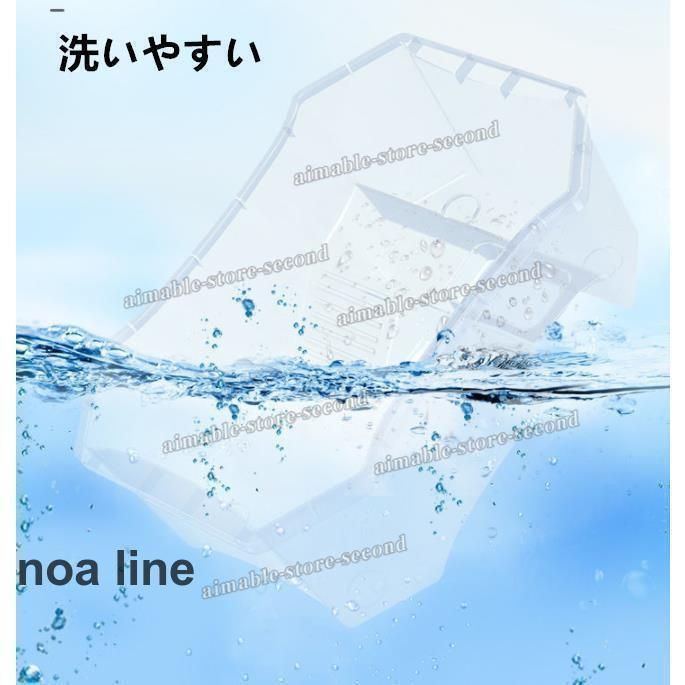 大空間 亀の楽園