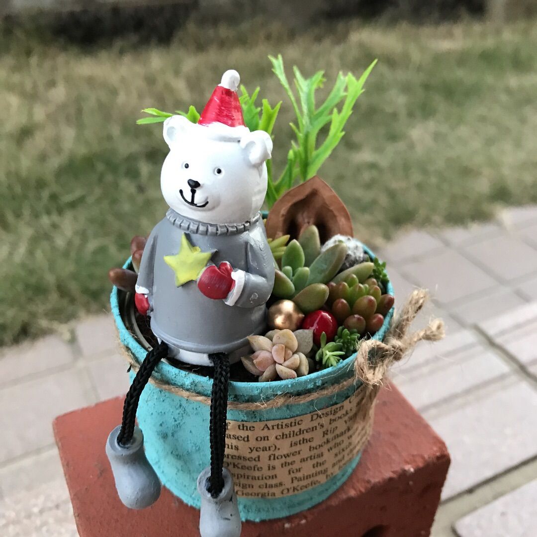 多肉寄せ植え✿くまちゃん✿そのまま飾れます ☆送料無料☆♡そのまま飾れる♡リスちゃんのガーデン♬多肉植物