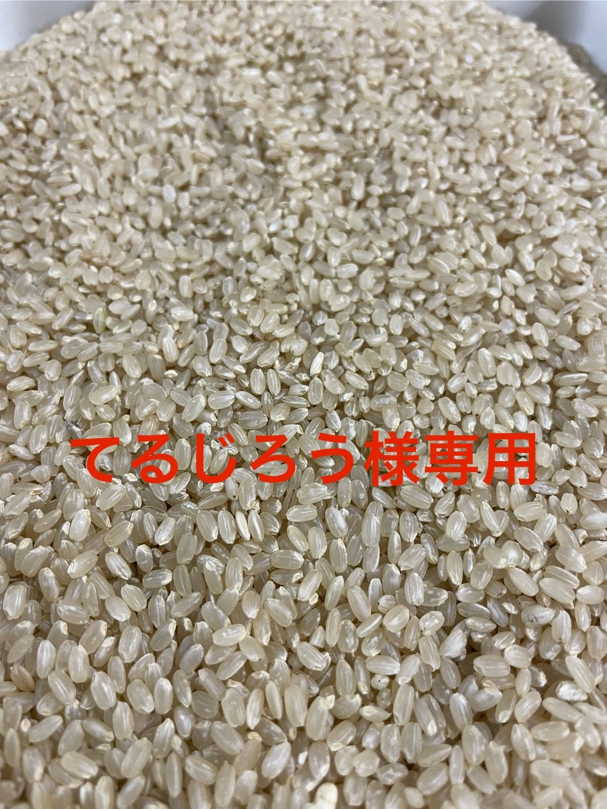 自然栽培ゆめぴりか