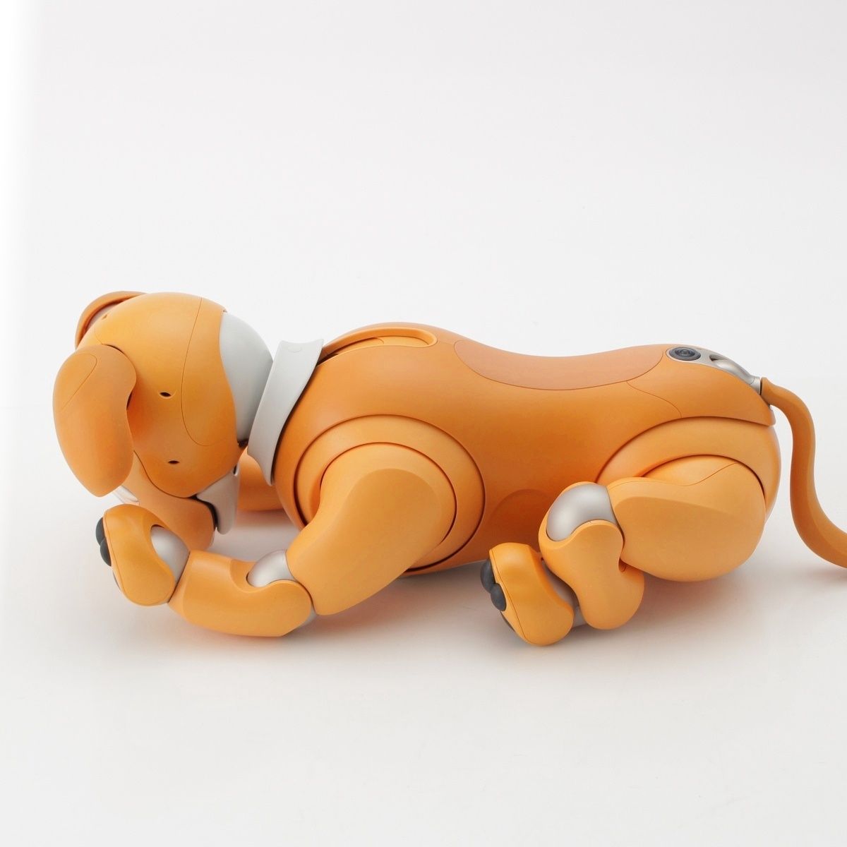 ソニー 2020年限定 aibo アイボ ペットロボット 犬 家電