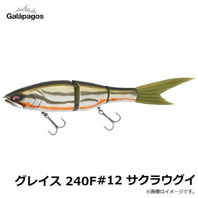 ガラパゴス(Galapagos) グレイス 240F #12 サクラウグイ ビッグ