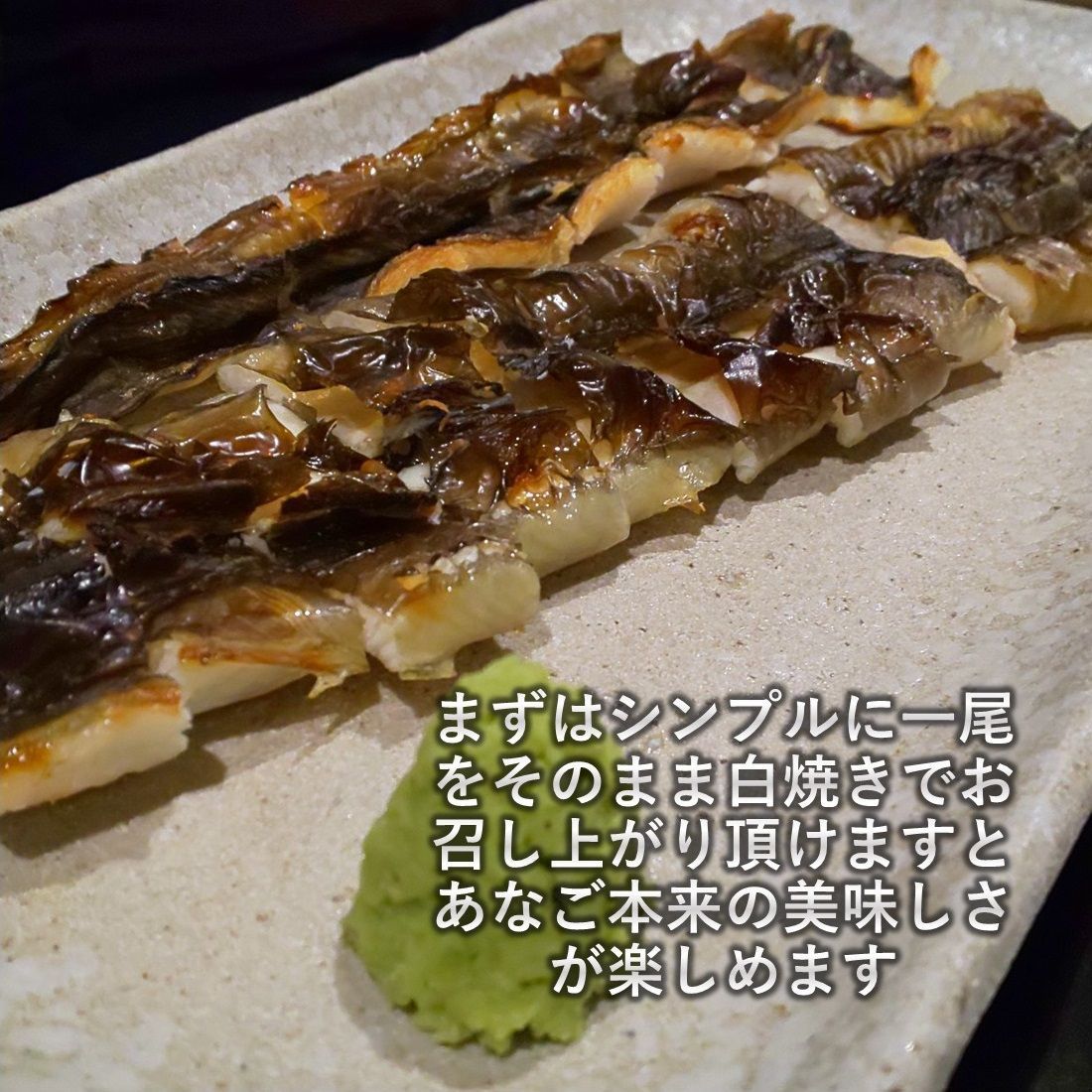 三陸産 あなご 500g  国産 大きさと脂のりが別格 蒲焼 白焼き 天ぷら等々