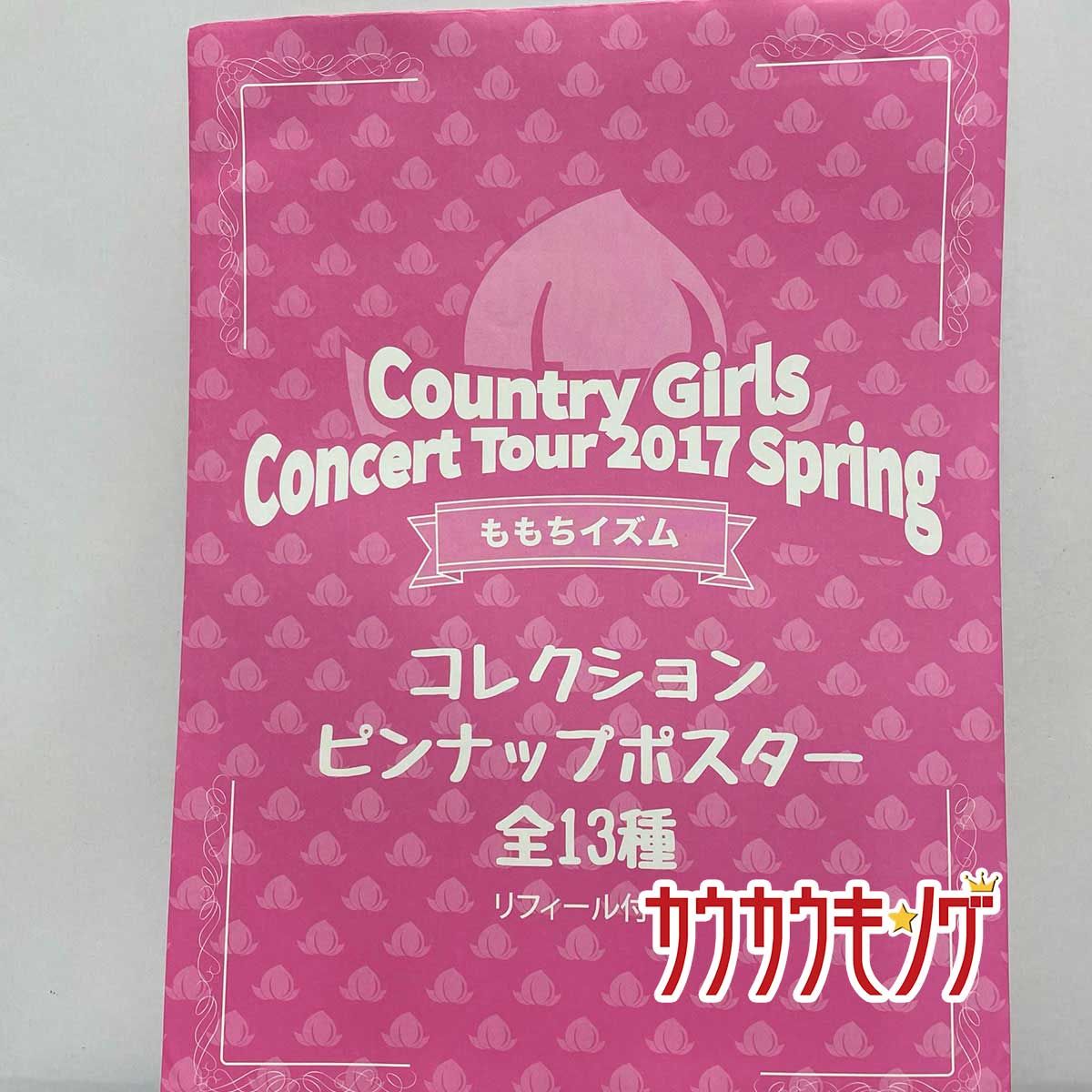 森戸知沙希・09】 コレクションピンナップポスター カントリーガールズ カントリーガールズ ピンナップポスター
